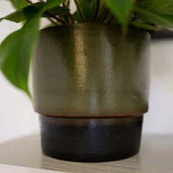 Erik Plant Pot - Dark Olive -Plant Supplies Sale Erik Olive 4