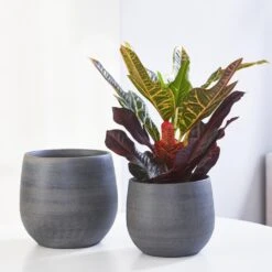 Esra Plant Pot - Graphite 30 Esra Plant Pot - Graphite -Plant Supplies Sale Esra graphite Lifestyle 1