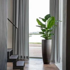 Gradient Partner Planter - Matt Grey -Plant Supplies Sale Gradient Partner Planter Matt Grey 4