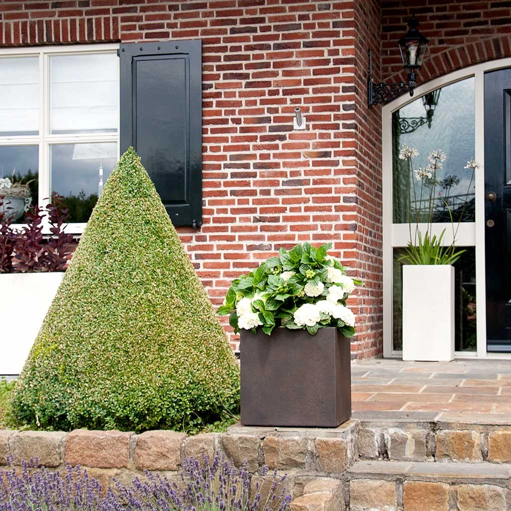 Grigio Cube Planter - Rusty Iron Concrete 4 Grigio Cube Planter - Rusty Iron Concrete - Image 4