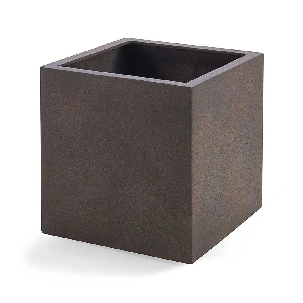 Grigio Cube Planter - Rusty Iron Concrete 1 Grigio Cube Planter - Rusty Iron Concrete