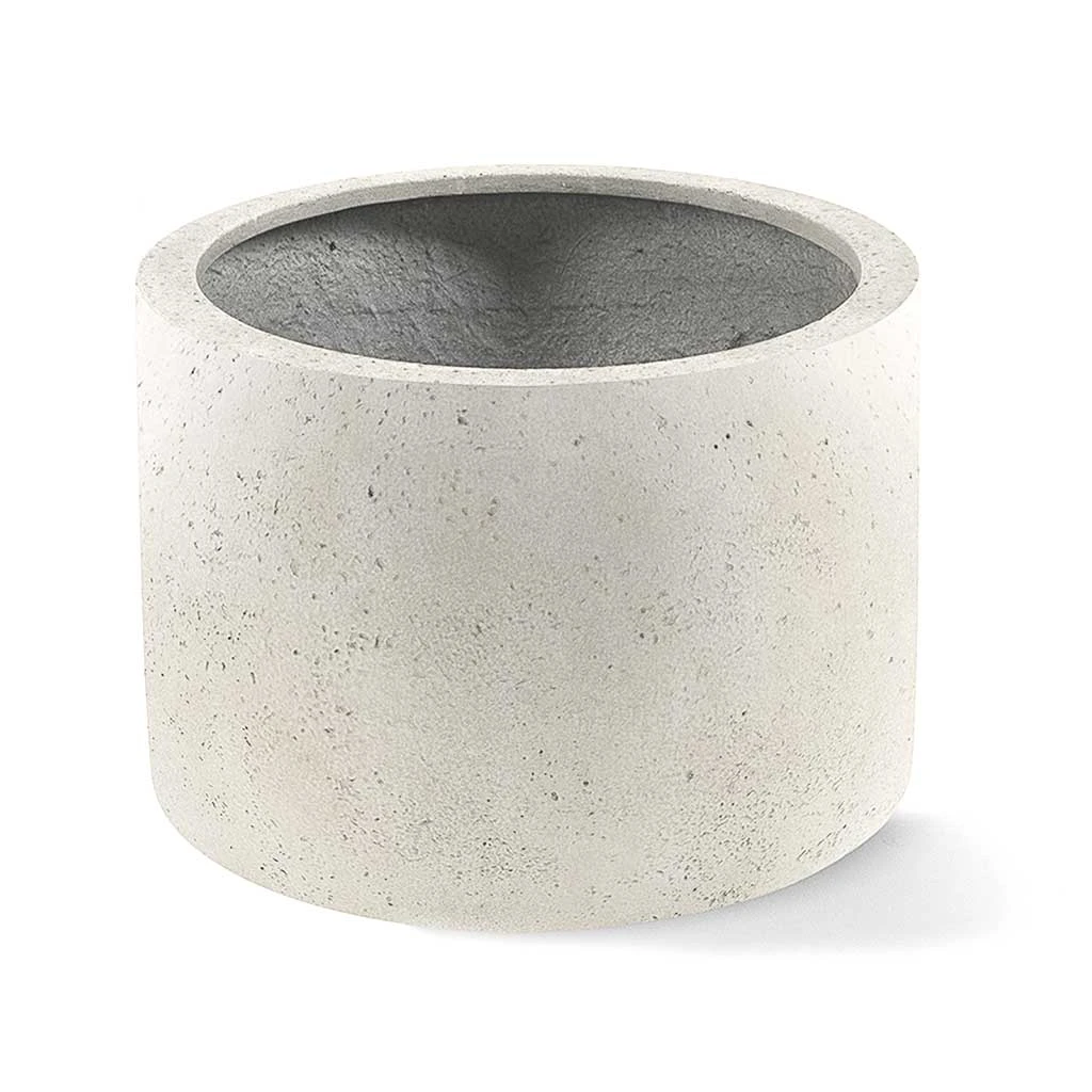 Grigio Cylinder Planter - Antique White Concrete 1 Grigio Cylinder Planter - Antique White Concrete