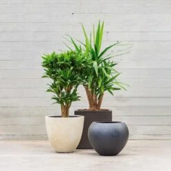 Grigio Egg Pot Planter - Antique White Concrete -Plant Supplies Sale Grigio Planters LS1