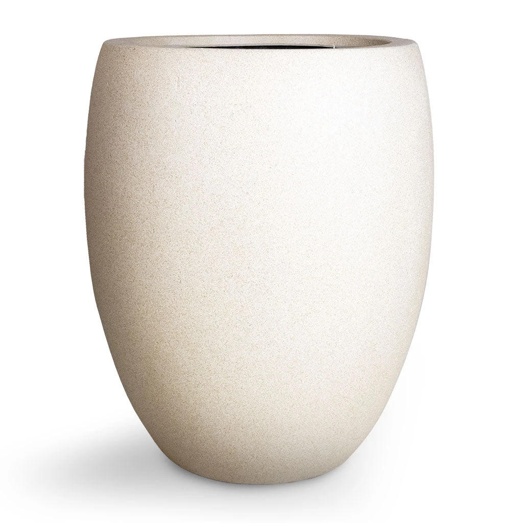 Grigio Tall Balloon Planter - Antique White Concrete 3 Grigio Tall Balloon Planter - Antique White Concrete - Image 3