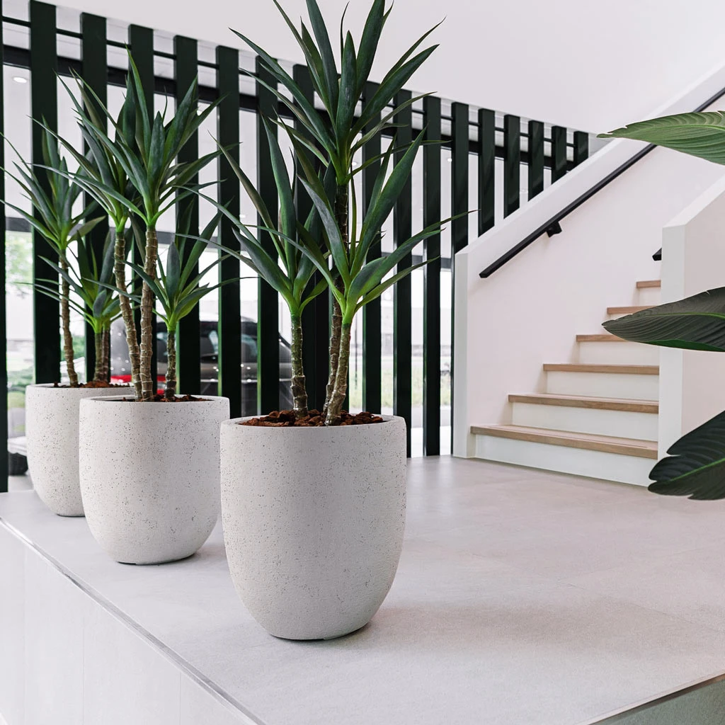 Grigio Tall Egg Pot Planter - Antique White Concrete 2 Grigio Tall Egg Pot Planter - Antique White Concrete - Image 2