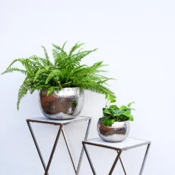 Hammered Bowl - Nickel With Black -Plant Supplies Sale Hammered Bowl Silver Lifestyle 2