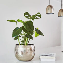 Hammered Bowl - Nickel With Black -Plant Supplies Sale Hammered Bowl Silver Lifestyle