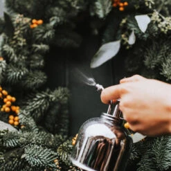 Haws Smethwick Spritzer In Nickel -Plant Supplies Sale Haws Smethwick Spritzer in Nickel 2