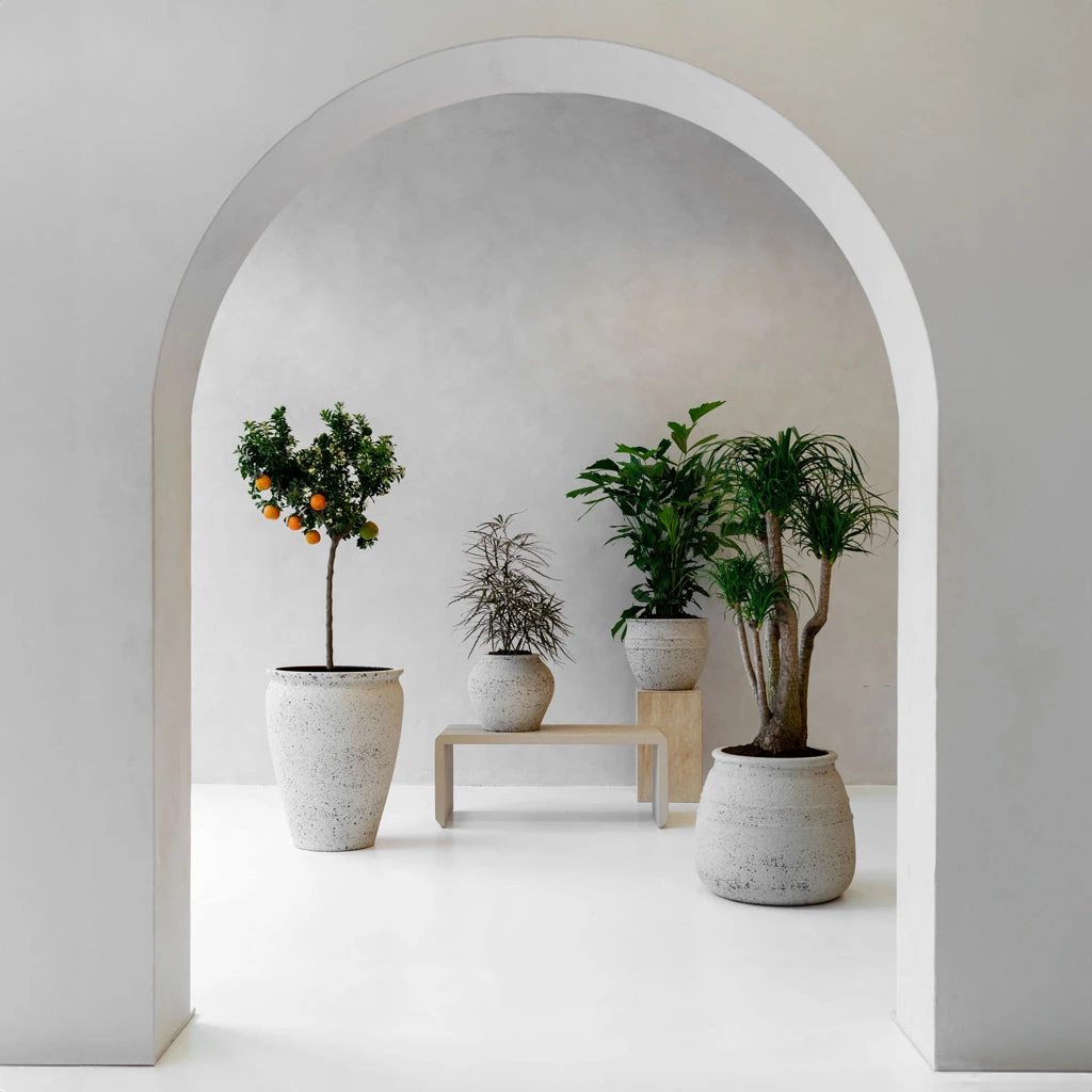 Athena Mediterranean Planter - Chalk White 11 Athena Mediterranean Planter - Chalk White - Image 11