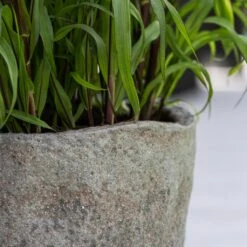 Hunter Mountain Planter - Granite Grey -Plant Supplies Sale Hunter Mountain Planter Granite Grey Lifestyle 1