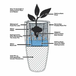 Ficus Benjamina Danielle - Weeping Fig - HydroCare -Plant Supplies Sale Hydroculture Planter Diagram 24b83352 ee63 4120 b578 63cf5b3ce506