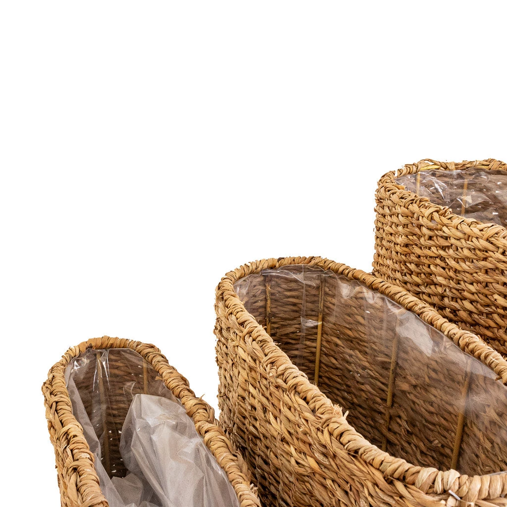 Isaac Plant Baskets - Set Of 3 - Oval - Natural 2 Isaac Plant Baskets - Set Of 3 - Oval - Natural - Image 2