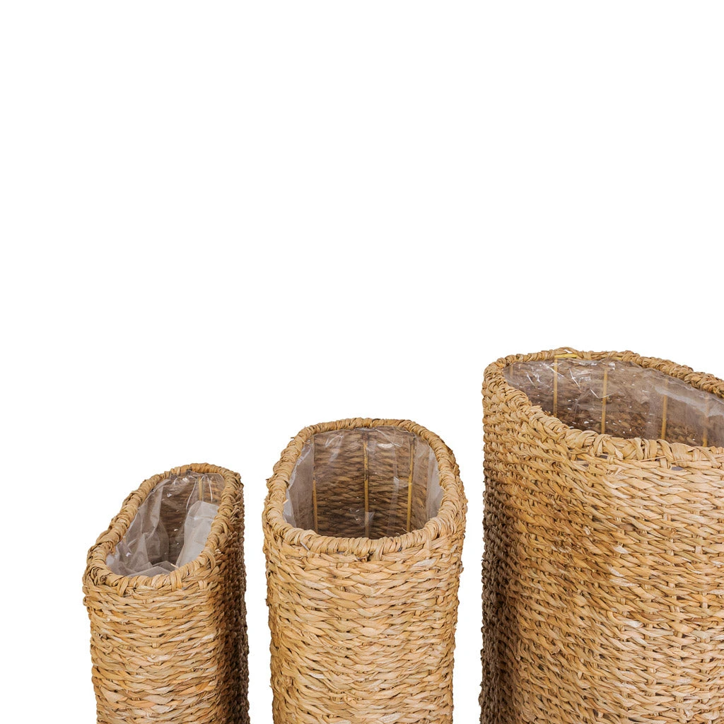 Isaac Plant Baskets - Set Of 3 - Oval - Natural 4 Isaac Plant Baskets - Set Of 3 - Oval - Natural - Image 4