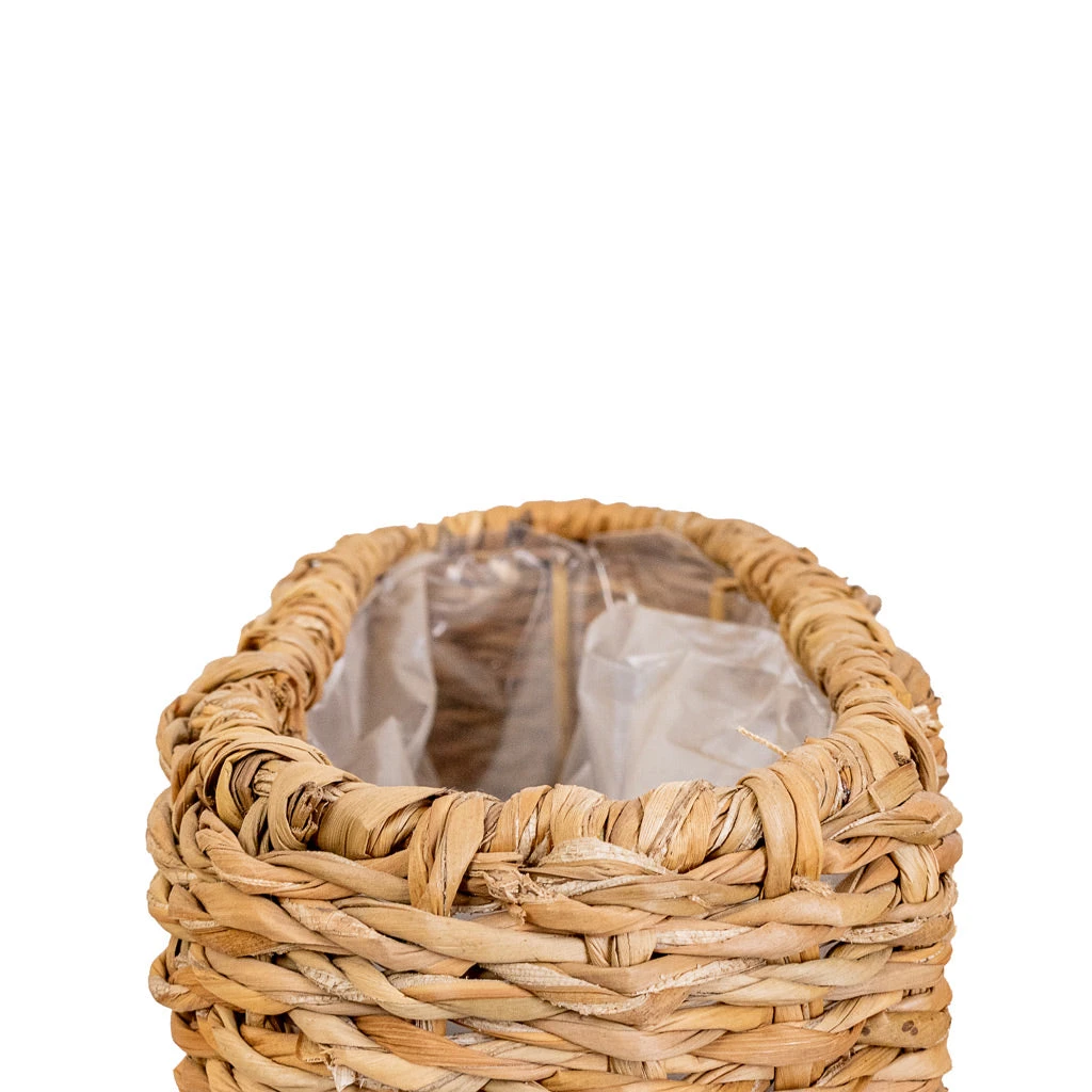 Isaac Plant Baskets - Set Of 3 - Oval - Natural 7 Isaac Plant Baskets - Set Of 3 - Oval - Natural - Image 7