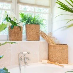 Isaac Plant Baskets - Set Of 3 - Oval - Natural 10 Isaac Plant Baskets - Set Of 3 - Oval - Natural -Plant Supplies Sale Isaac Plant Baskets Set of 3 Round Natural Houseplants