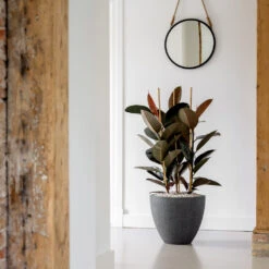 Jesslyn Granite Planter - Midnight Black -Plant Supplies Sale Jesslyn Granite Planter Midnight Black Lifestyle 3