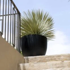 Jesslyn Natural Planter - Black -Plant Supplies Sale Jesslyn Natural Planter Black 2