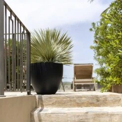 Jesslyn Natural Planter - Black -Plant Supplies Sale Jesslyn Natural Planter Black Large Patio Planter da61951c e7e8 4898 be23 5e29fba17043