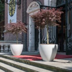 Jesslyn Refined Planter - Natural White -Plant Supplies Sale Jesslyn Refined Planter Natural White Doorway Planters