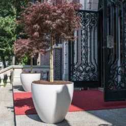 Jesslyn Refined Planter - Natural White -Plant Supplies Sale Jesslyn Refined Planter Natural White Entrance Planter