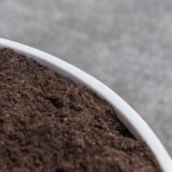 Jesslyn Refined Planter - Natural White -Plant Supplies Sale Jesslyn Refined Planter Natural White Rim