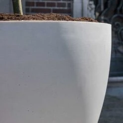 Jesslyn Refined Planter - Natural White -Plant Supplies Sale Jesslyn Refined Planter Natural White Sandstone Texture