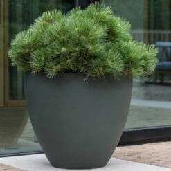 Jesslyn Refined Planter - Pine Green 16 Jesslyn Refined Planter - Pine Green -Plant Supplies Sale Jesslyn Refined Planter Pine Green Outdoor Plant Display