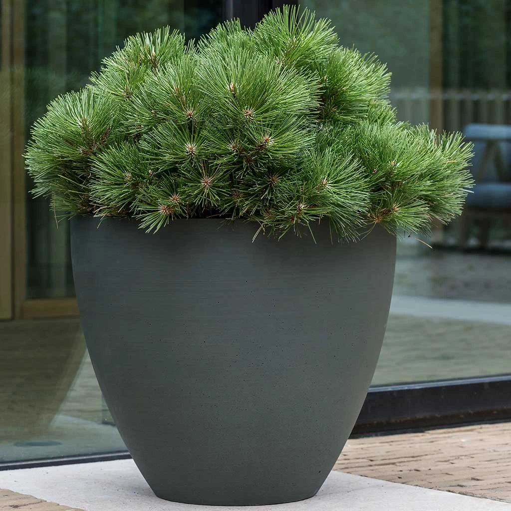 Jesslyn Refined Planter - Pine Green 7 Jesslyn Refined Planter - Pine Green - Image 7