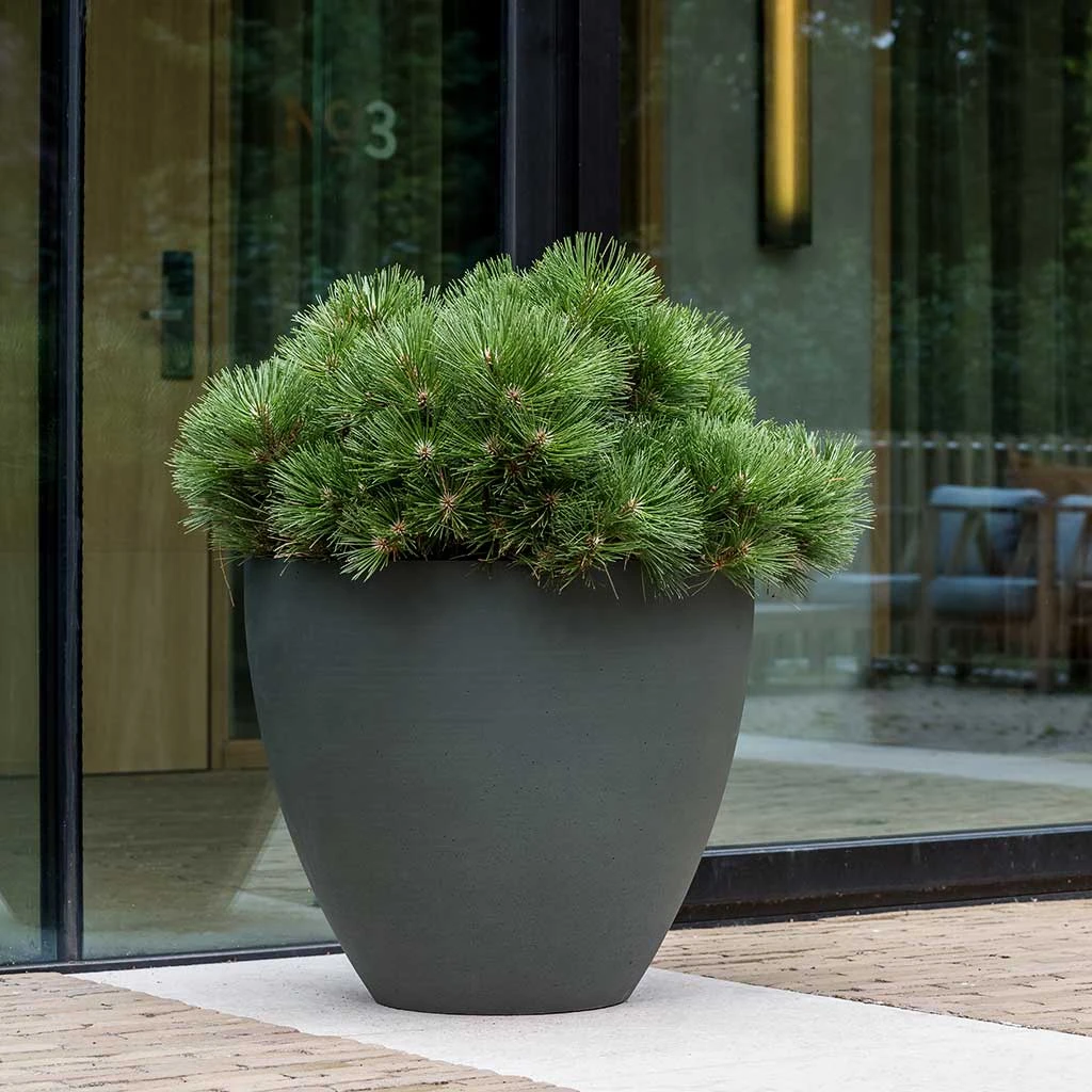 Jesslyn Refined Planter - Pine Green 2 Jesslyn Refined Planter - Pine Green - Image 2