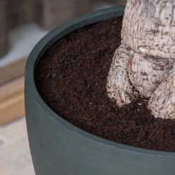 Jesslyn Refined Planter - Pine Green 15 Jesslyn Refined Planter - Pine Green -Plant Supplies Sale Jesslyn Refined Planter Pine Green Rim