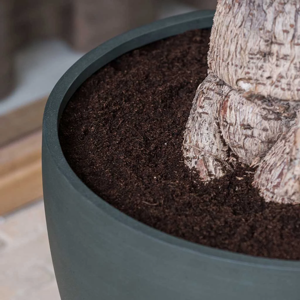 Jesslyn Refined Planter - Pine Green 6 Jesslyn Refined Planter - Pine Green - Image 6