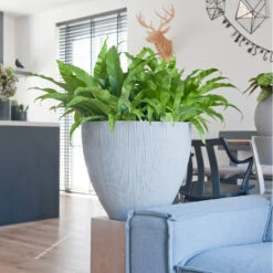 Jesslyn Plant Pot - Ridged Cement -Plant Supplies Sale JesslynPlantPot RidgedCement 2