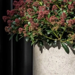 Jumbo Charlie Planter - Stone Washed -Plant Supplies Sale Jumbo Charlie Planter Stone Washed Close Up