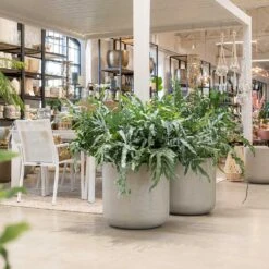 Jumbo Charlie Planter - Stone Washed -Plant Supplies Sale Jumbo Charlie Planter Stone Washed Indoors