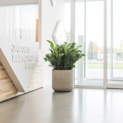 Jumbo Charlie Planter - Stone Washed -Plant Supplies Sale Jumbo Charlie Planter Stone Washed Office Reception Planter