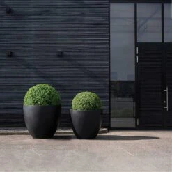 Jumbo Jesslyn Natural Planter - Black -Plant Supplies Sale Jumbo Jesslyn Natural Planter Black Entrance Planters