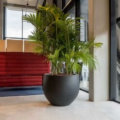 Jumbo Orb Natural Orb Planter - Black 13 Jumbo Orb Natural Orb Planter - Black -Plant Supplies Sale Jumbo Orb Natural Orb Planter Black Office Palm