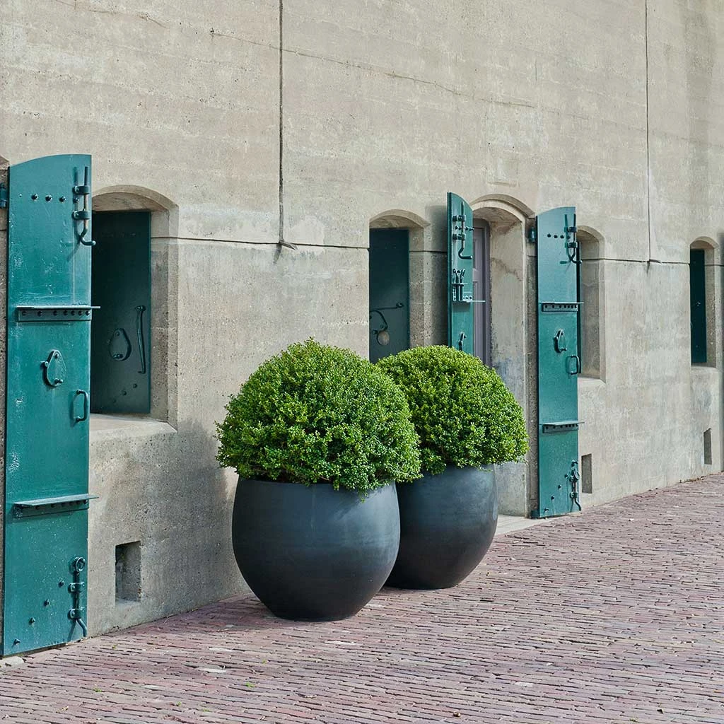 Jumbo Orb Natural Orb Planter - Black 7 Jumbo Orb Natural Orb Planter - Black - Image 7