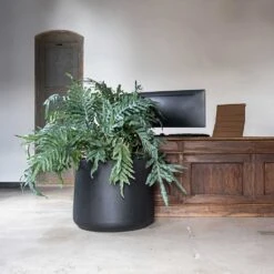 Jumbo Patt Natural Planter - Black -Plant Supplies Sale Jumbo Patt Natural Planter Black Reception Planter