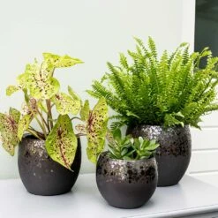 Kae Plant Pot - Mocha -Plant Supplies Sale Kae Plant Pots Mocha Indoor Plants