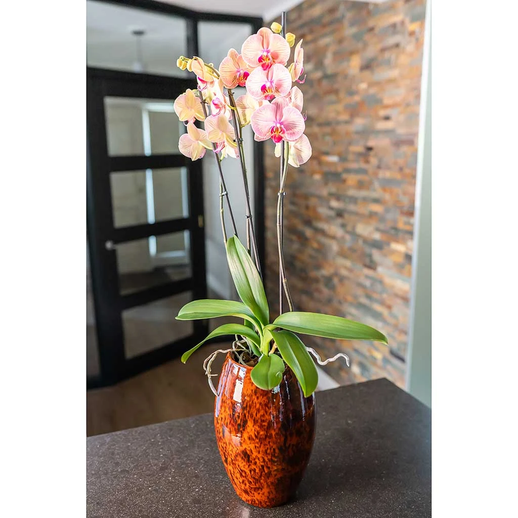 Kae Plant Vase - Cayenne 2 Kae Plant Vase - Cayenne - Image 2