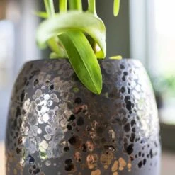 Kae Plant Vase - Mocha 6 Kae Plant Vase - Mocha -Plant Supplies Sale Kae Plant Vase Mocha Close Up