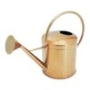Kensington Indoor Traditional Watering Can 2L - Copper