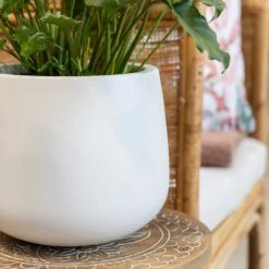 Kevan Essentials Plant Pot - Matt White -Plant Supplies Sale Kevan Plant Pot Matt White Philodendron Plant
