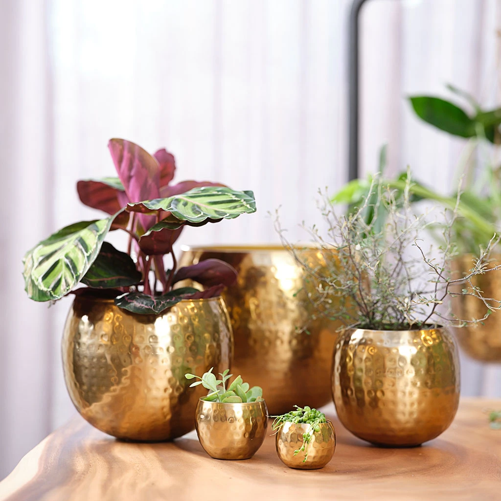 Kody Metal Plant Pots - Set Of 3 - Large - Gold 2 Kody Metal Plant Pots - Set Of 3 - Large - Gold - Image 2