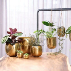 Kody Metal Plant Pots - Set Of 3 - Large - Gold 10 Kody Metal Plant Pots - Set Of 3 - Large - Gold -Plant Supplies Sale Kody Metal Plant Pots Set of 2 Small Gold Lifestyle 03 bf2f59c4 923f 4f0e a93b e51472cb34a5