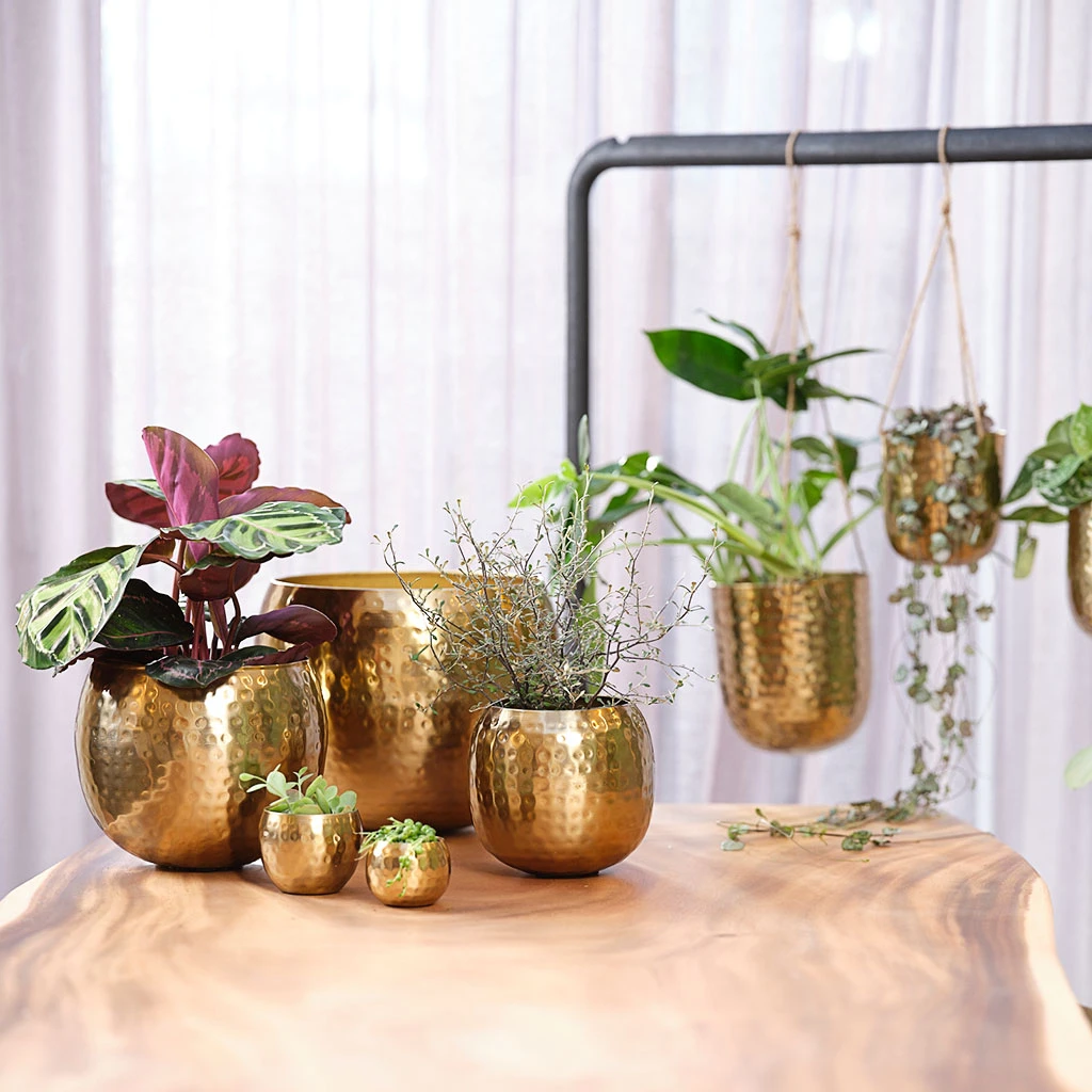 Kody Metal Plant Pots - Set Of 3 - Large - Gold 4 Kody Metal Plant Pots - Set Of 3 - Large - Gold - Image 4