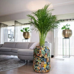 Lammie Planter - Berry Blue 14 Lammie Planter - Berry Blue -Plant Supplies Sale Lammie Planter Berry Blue 5