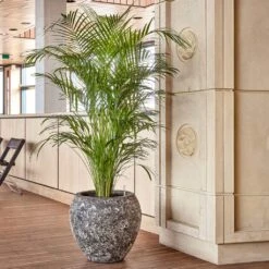 Lava Balloon Relic Planter - Rust -Plant Supplies Sale Lava Balloon Relic Rust Metal