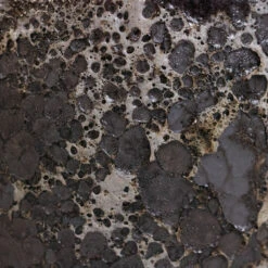 Lava Oval Relic Plant Bowl - Black -Plant Supplies Sale Lava Couple Straight Relic Planter Black 2 9001df74 6055 4c5f 9c4f b81298f3f390